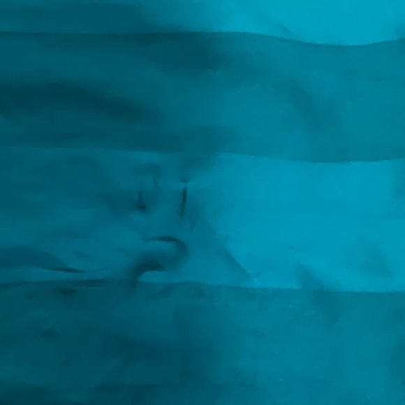 SCRAF - Picture 5 of 6